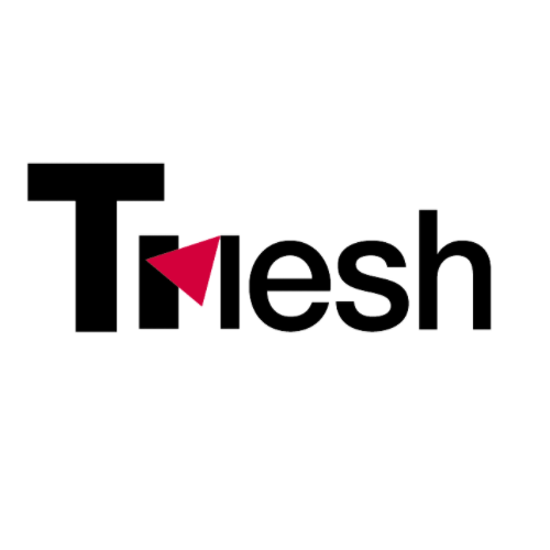 Talent Mesh